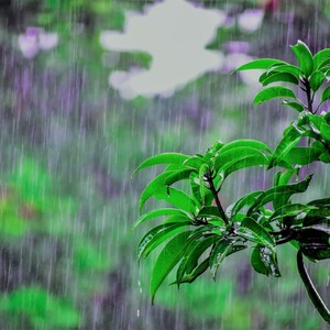 Music for Meditation, Sleep, Relax