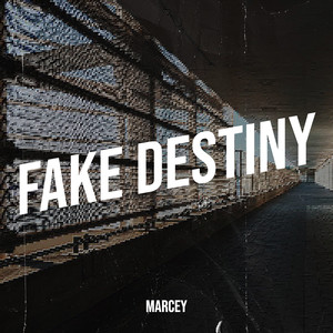 Fake Destiny