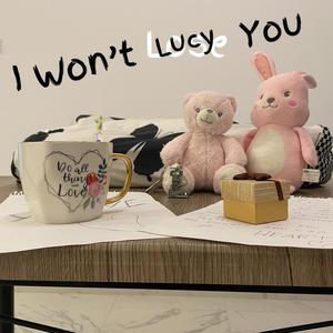 I WON'T LUCY YOU (Explicit)