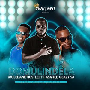 Domulindela (feat. Asa Tee & Easy Sa)