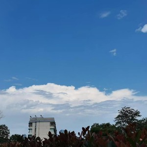 喜欢的人和事都在