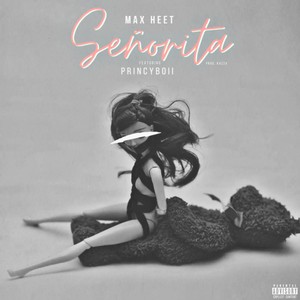 Señorita (Explicit)