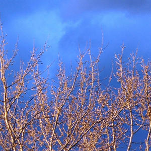 Nothing In This World