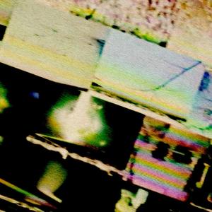 want of a bird (Nyokabi Kariũki Remix)