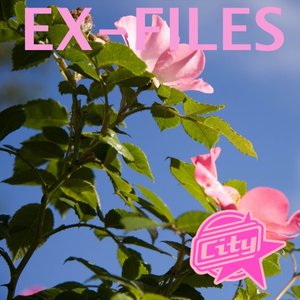 Ex-Files