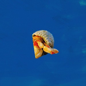 Maldita Alarma (Explicit)