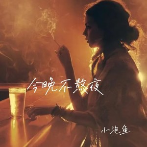 今晚不熬夜 (DJ版)