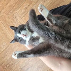 будет что-то (Explicit)