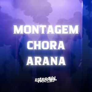 MONTAGEM CHORA ARANA (Explicit)