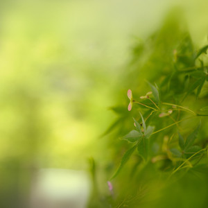 回到过去-于亮亮