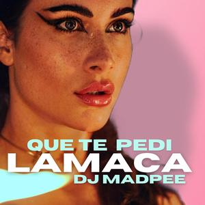 QUE TE PEDI (feat. DJ MadPee)