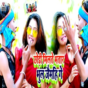 Chhodi Milte Bhatar Bhul Jaimhi Ge