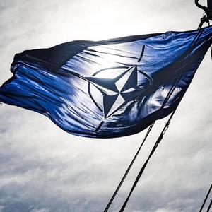 NATO (feat. ZAHAR, VLAD & D4ZZ) (Explicit)