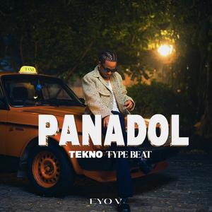 PANADOL TEKKNO TYPE INSTRUMENTALS