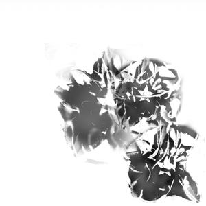 cant stop (feat. Quizz) (Explicit)