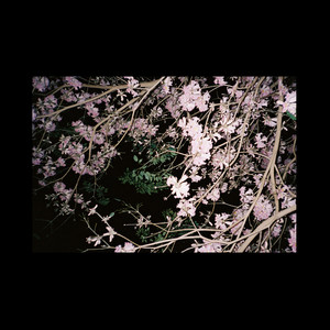 Eluize - DPDR (Locked Groove Orchestral Mix)