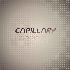 Capillary Abridge
