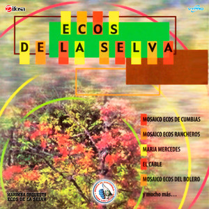 Mosaico Ecos de Cumbias: La Mucura / Ay Cosita Linda / Se Va el Caimán / Mi Cafetal