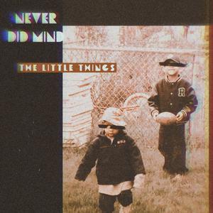 NEVER DID MIND THE LITTLE THINGS (Explicit)