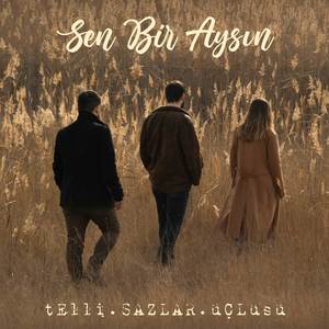 Sen Bir Aysın