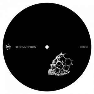 Reconnection (Original Mix)