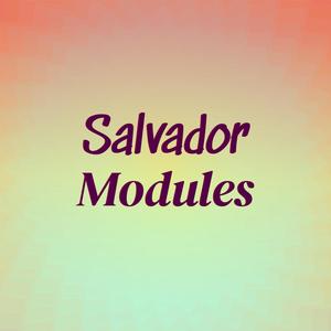 Salvador Modules