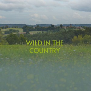 Wild in the Country