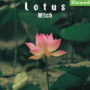 Lotus (Slowed Version)