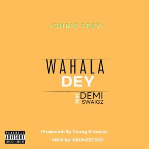 WAHALA DEY (feat. Demi Swaigz)