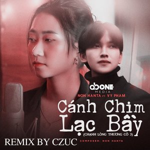 Chạnh Lòng Thương Cô 3 (Cánh Chim Lạc Bầy) (Remix) [Explicit]