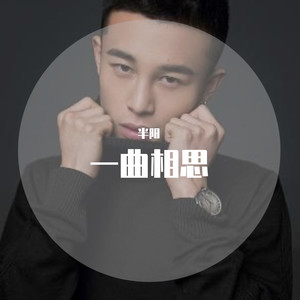 半阳-一曲相思 (杨铭权 Remix)