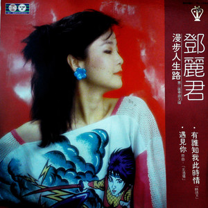 雨中追忆 (黑胶版) - 邓丽君封面