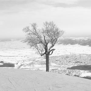 Distilled Ice (Explicit)
