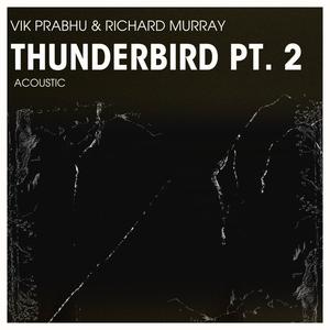 Thunderbird, Pt. 2 (feat. Richard Murray)
