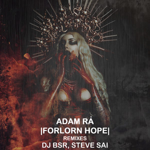 Forlorn Hope (DJ BSR Remix)