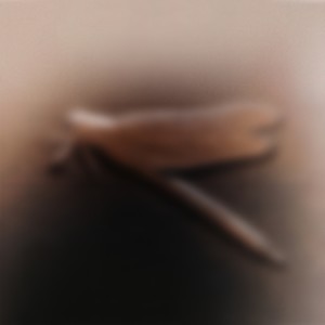 על חוף ערום