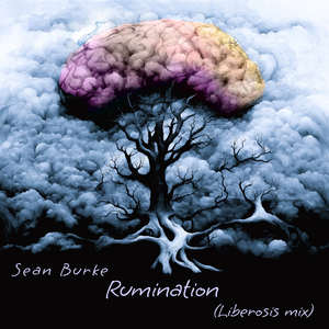 Rumination (Liberosis Mix)