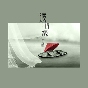 渡情缘 - 王峰封面