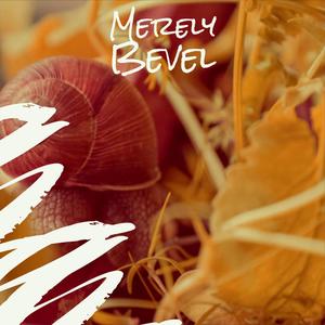 Merely Bevel