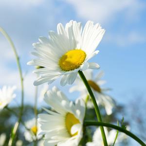 summer miscommunication