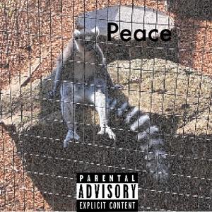 Peace (Explicit)