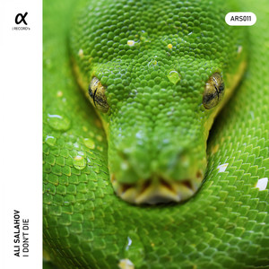 I Don't Die (Original Version)