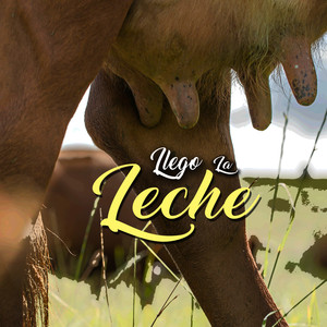 Llego La Leche (Explicit)