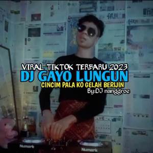 DJ GAYO LUNGUN CINCIM PALA KO GELAH BERIJIN - (INS)