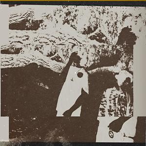 Since the day I got my license.... (Explicit)