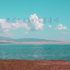 思念久了真的会重逢吗 (伴奏)