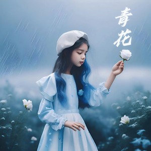 青花 (0.8倍破镜版)