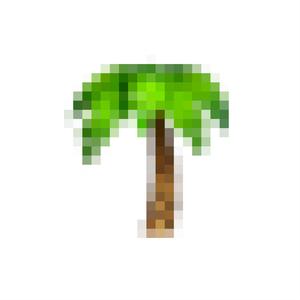 SALY (Explicit)