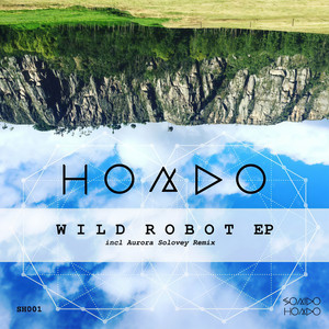 Wild Robot (Aurora Solovey Remix)