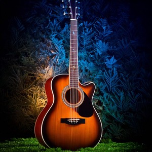 Night Serenades Guitar Harmonies